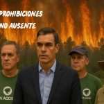 Incendios en España: abandono, prohibiciones y un Gobierno ausente